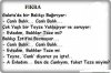 Fıkra.jpg