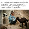tumblr_o3pn75xZZs1rh9ffao1_500.jpg