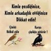 95.jpg