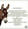 IMG-20181228-WA0032.jpg