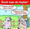 IMG-20190301-WA0042.jpg