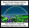_20190306_161046.JPG
