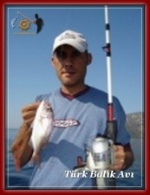 özgürçocuk