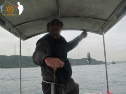 MUSTAFASÜRÜCÜ