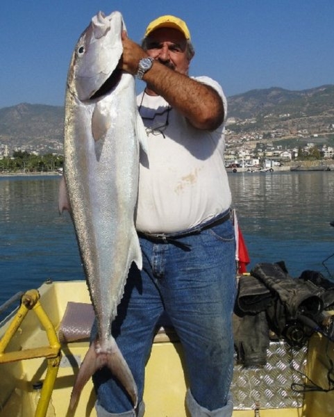 Jigging tekniği ile yakalanan 18 kiloluk akya kuzu balığı.