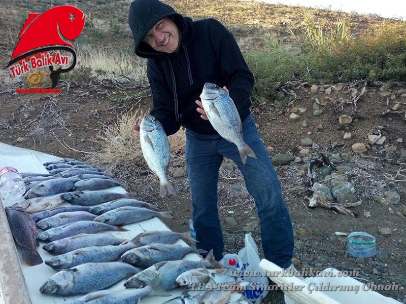 19 Ekim 2013 Günü Karaburun&#039; da yaptığımız sinarit avından geriye kalanlar.