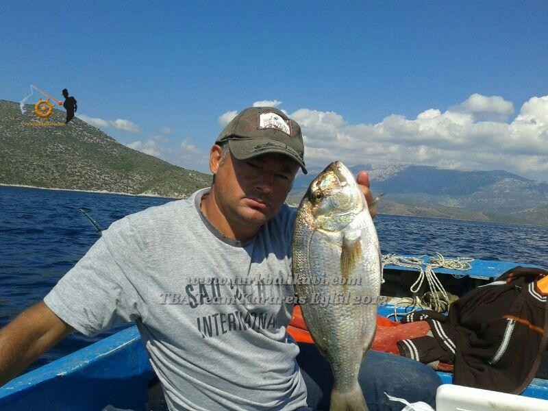 25 Eylül 2013 Günü Karareiste yaptığımız tekne avının fotoğraf albümü.