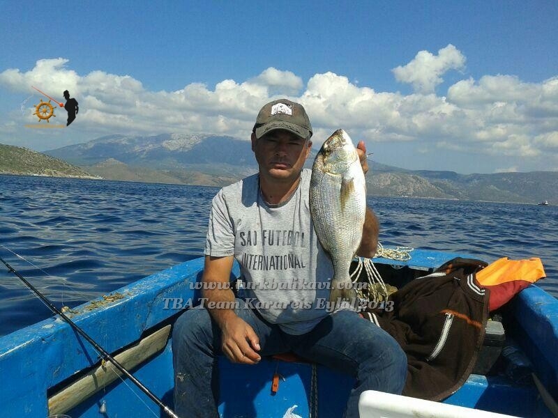 25 Eylül 2013 Günü Karareiste yaptığımız tekne avının fotoğraf albümü.