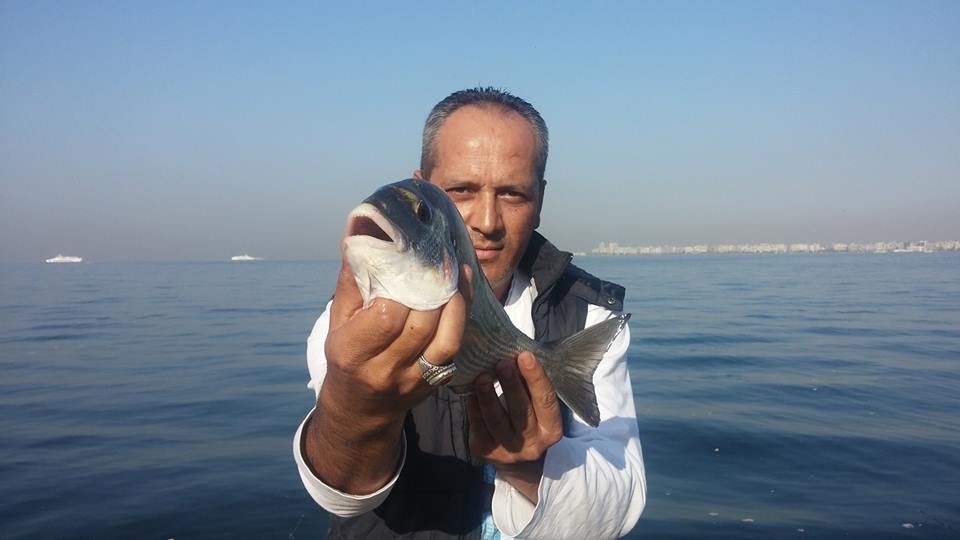 İsmail Esencan 2016 kıyıdan çupra avlarında yakalanan çupralar.