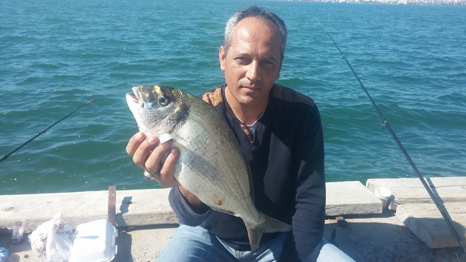 İsmail Esencan 2016 kıyıdan çupra avlarında yakalanan çupralar.