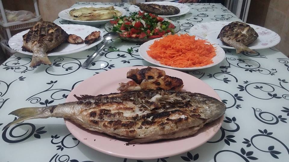 İsmail Esencan 2016 kıyıdan çupra avlarında yakalanan çupralar.