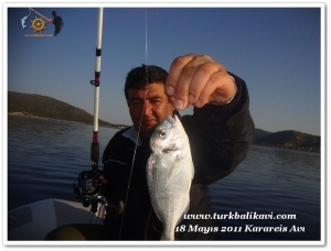 VARAN 1 Karareis 18 Mayıs 2011 Avımız