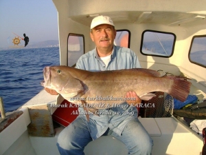 Kuşadası'nda Aklahos (Grida) Avı 12.7 kg