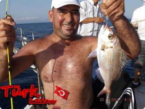 Lirin egzotik dinletisi ve antenli mercan avı 23 Temmuz 2014