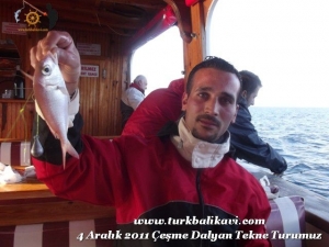 Çeşme Balıkavı Turu