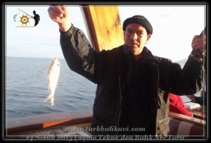 Çeşme Balıkavı Turu