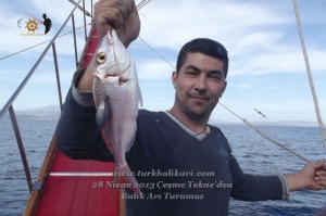 Çeşme Balıkavı Turu