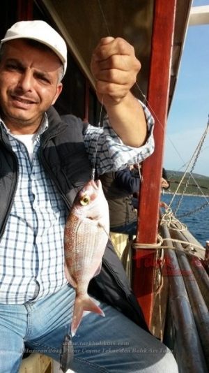 8 Haziran 2014 Pazar Çeşme Tekne'den Balık Avı Turu