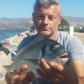 Çupra Avı