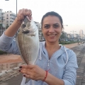 Kıyıdan Çupra Avı