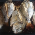 Kıyıdan Çupra Avı