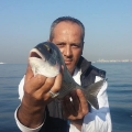 Kıyıdan Çupra Avı