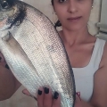 Kıyıdan Çupra Avı