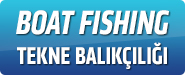 Boat Fishing - Tekne Balıkçılığı