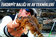 İskorpit Balığı Ve Av Teknikleri