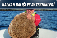 Kalkan Balığı Ve Av Teknikleri