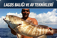 Lagos Balığı Ve Av Teknikleri