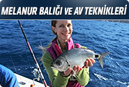 Melanur Balığı Ve Av Teknikleri