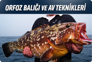 Orfoz Balığı Ve Av Teknikleri