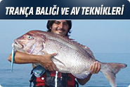 Trança Balığı Ve Av Teknikleri
