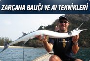 Zargana Balığı Ve Av Teknikleri